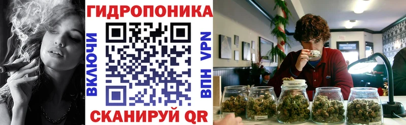 Шишки марихуана Amnesia  Купить закладки  Томилино 